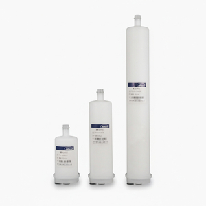 PH Series Integrated Capsule Filter Cartridge